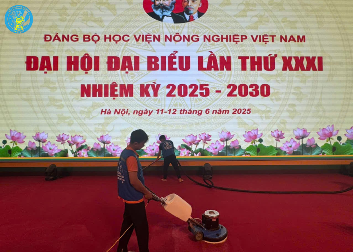 Cách giặt thảm sạch Hà Tĩnh (2) Cách giặt thảm sạch Hà Tĩnh (2)