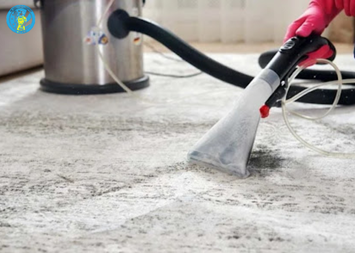 Giặt thảm công nghiệp Hà Tĩnh (9) Giặt thảm công nghiệp Hà Tĩnh (9)