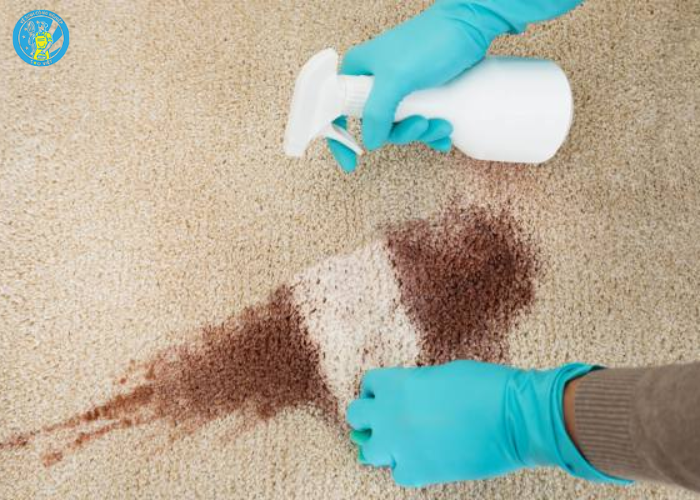 Giặt thảm khách sạn Hà Tĩnh (4) Giặt thảm khách sạn Hà Tĩnh (4)