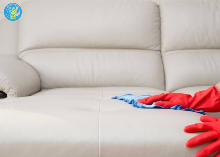 Giặt thảm sofa Hà Tĩnh (6) Giặt thảm sofa Hà Tĩnh (6)