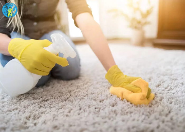 Vệ sinh thảm bị nấm mốc (3) Vệ sinh thảm bị nấm mốc (3)