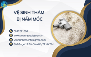 Vệ sinh thảm bị nấm mốc