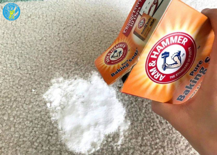 Vệ sinh thảm bị nấm mốc (5) Vệ sinh thảm bị nấm mốc (5)