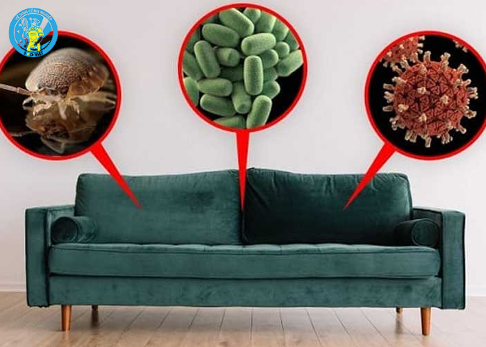 Cách giặt ghế sofa (1) Cách giặt ghế sofa (1)