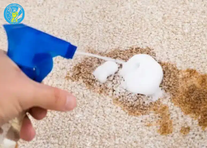 Cách giặt thảm lông (2)