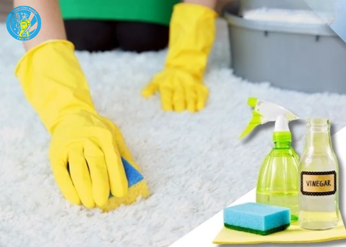 Cách giặt thảm lông (4)