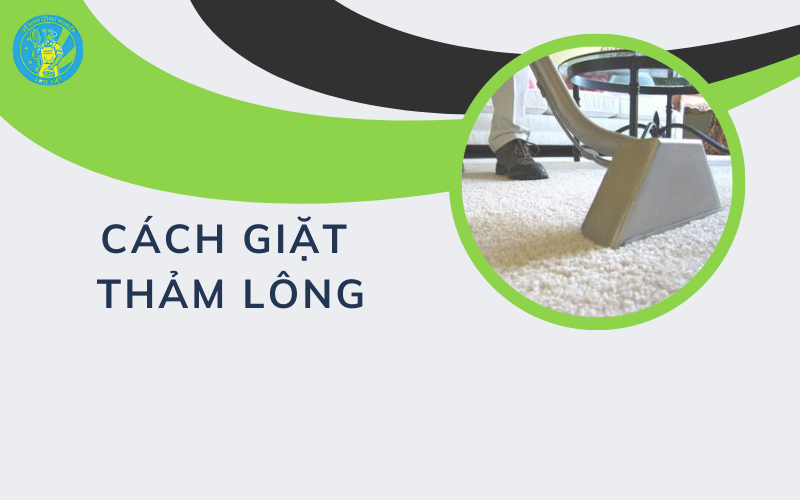 Cách giặt thảm lông