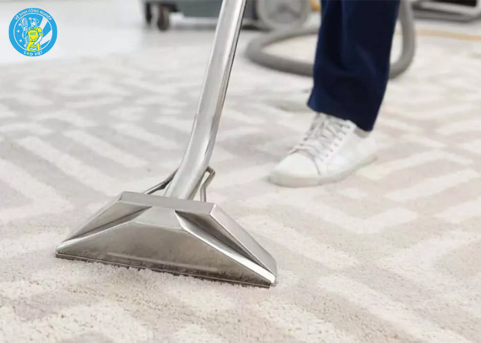 Dịch vụ giặt thảm lông cao cấp (3) Dịch vụ giặt thảm lông cao cấp (3)