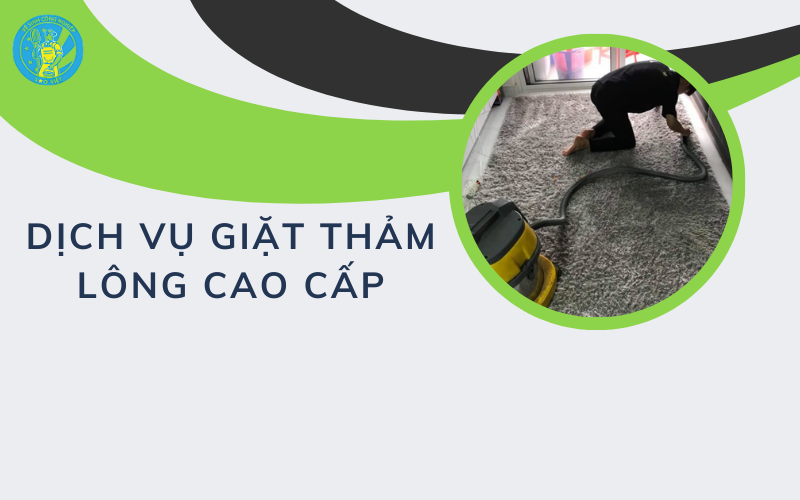 Dịch vụ giặt thảm lông cao cấp