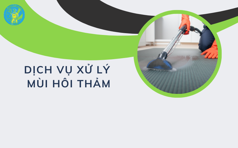Dịch vụ xử lý mùi hôi thảm