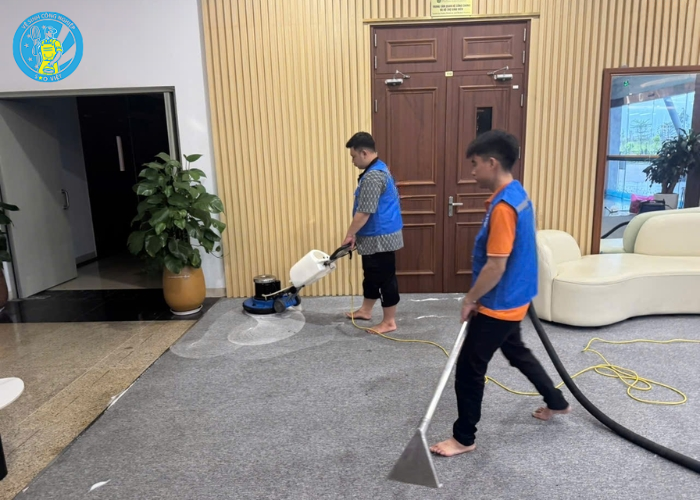 Giặt khô thảm tại nhà (5) Giặt khô thảm tại nhà (5)