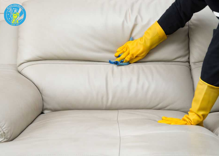 Làm sạch ghế sofa bị mốc (1) Làm sạch ghế sofa bị mốc (1)