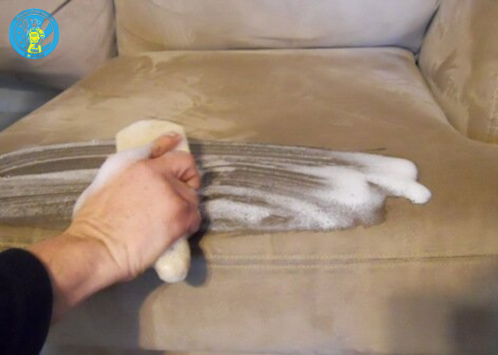 Làm sạch ghế sofa bị mốc (2) Làm sạch ghế sofa bị mốc (2)