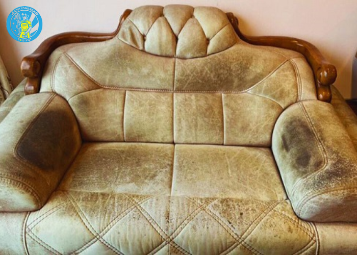 Làm sạch ghế sofa bị mốc (5) Làm sạch ghế sofa bị mốc (5)