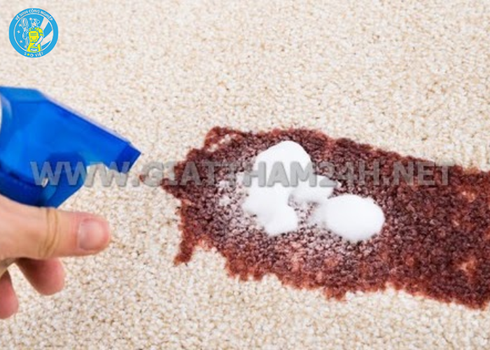 Vệ sinh thảm phòng khách (2)