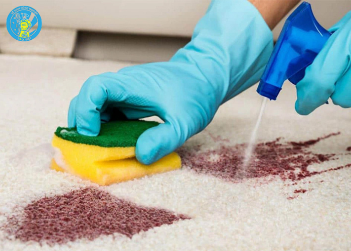 cách giặt thảm nỉ (1)