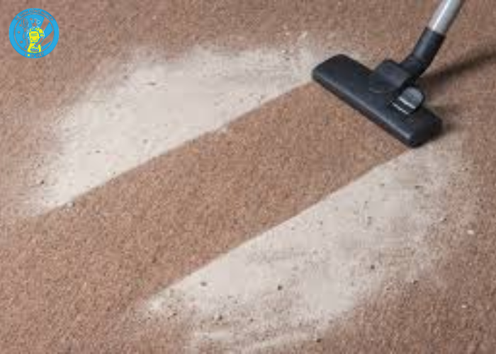 cách giặt thảm nỉ (5)