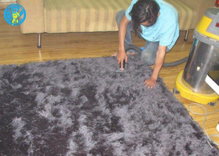 cách vệ sinh thảm lông (4) cách vệ sinh thảm lông (4)