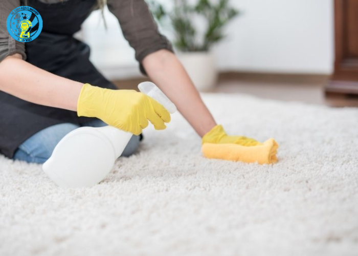 cách vệ sinh thảm lông (5) cách vệ sinh thảm lông (5)