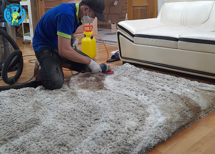 cách vệ sinh thảm lông (6) cách vệ sinh thảm lông (6)