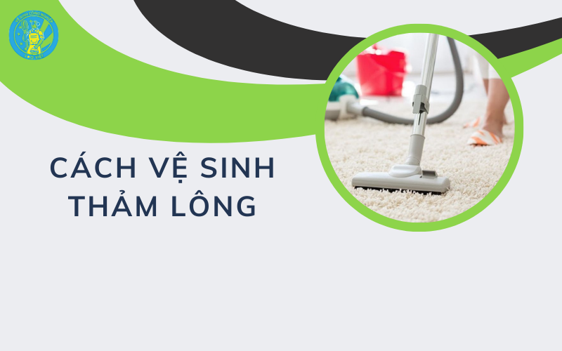 cách vệ sinh thảm lông