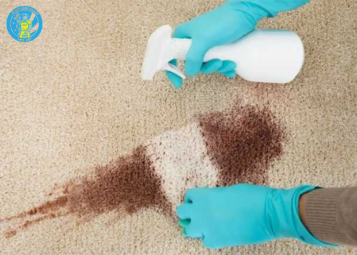 giặt khô thảm trải sàn (4) giặt khô thảm trải sàn (4)