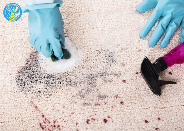 giặt thảm phòng khách (2)