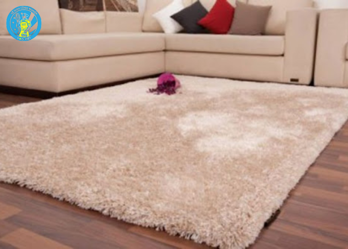 giặt thảm phòng khách (3)