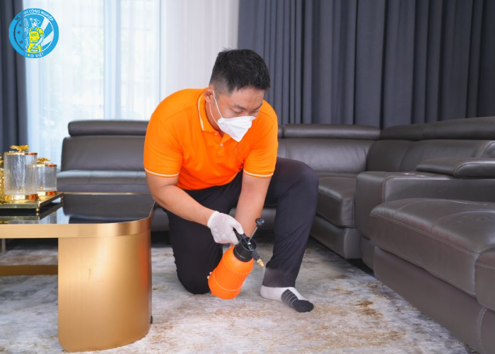 giặt thảm phòng khách (4)