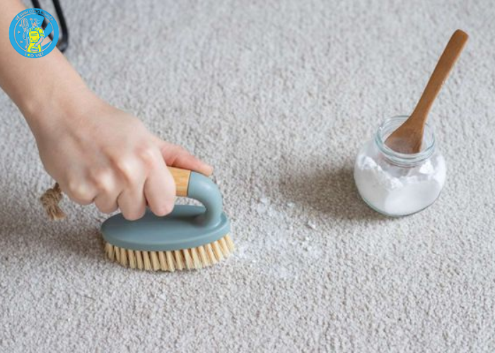 giặt thảm phòng khách (5)