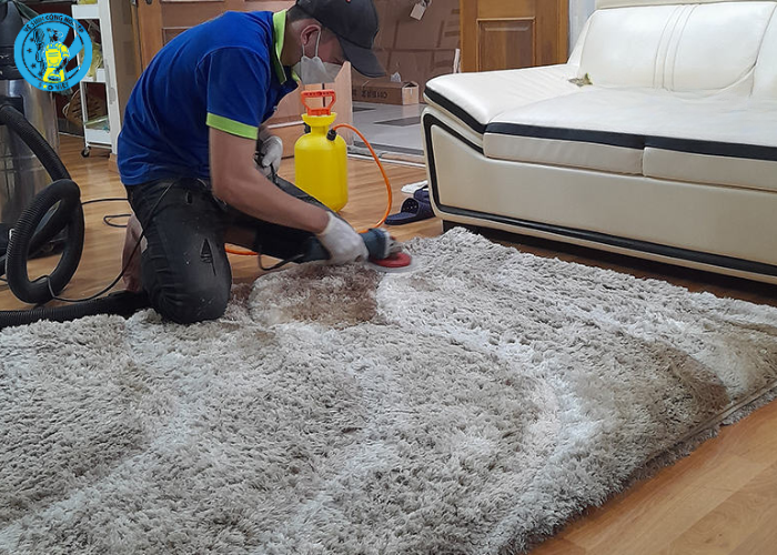 giặt thảm phòng khách (6)