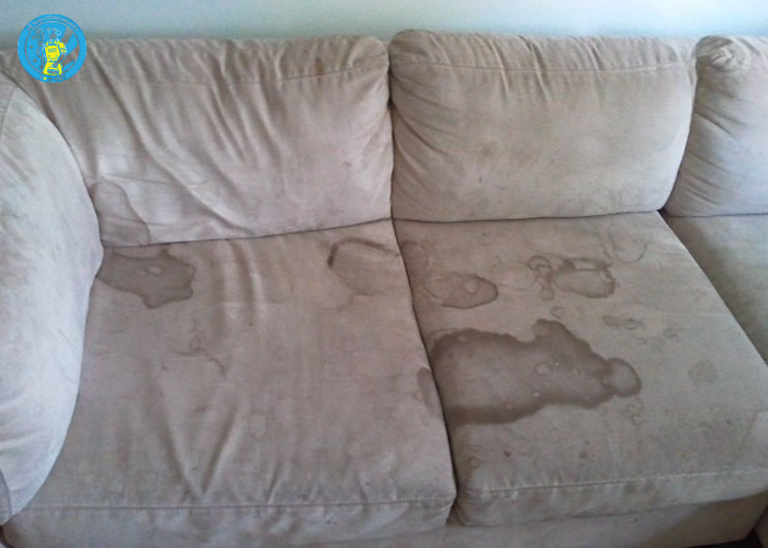 Giặt ghế sofa cho gia đình (2) Giặt ghế sofa cho gia đình (2)