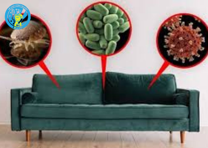 Vệ sinh ghế sofa văn phòng (3)