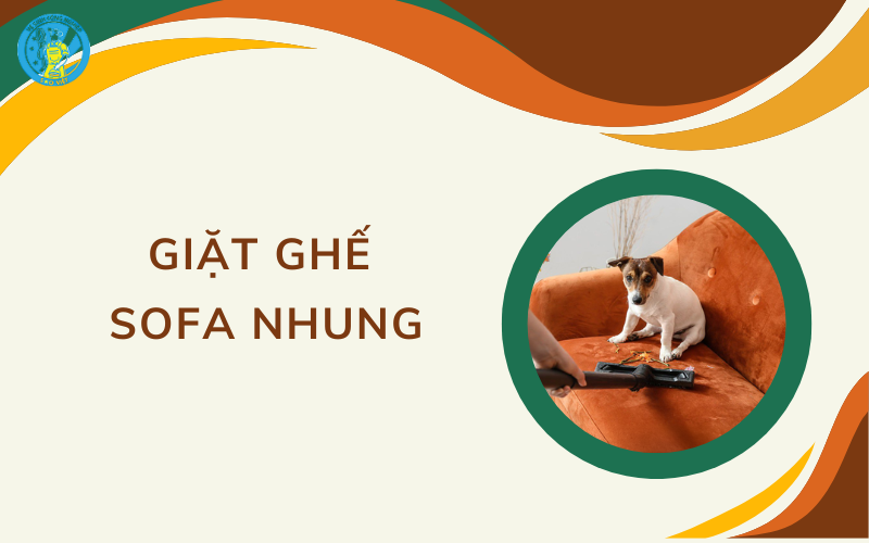 giặt ghế sofa nhung
