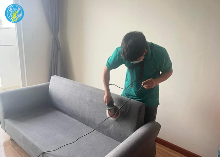 giặt ghế sofa và thảm (1)