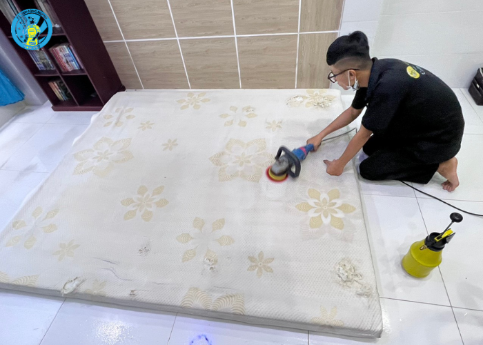 giặt ghế sofa và thảm (5)