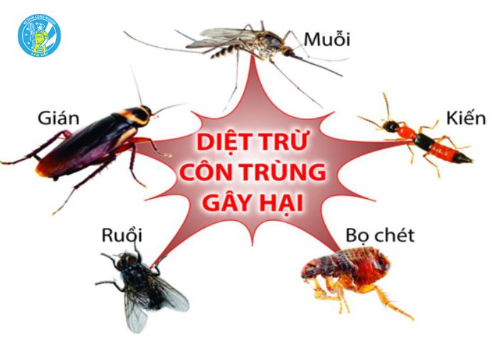 Diệt côn trùng Hà Tĩnh (2)