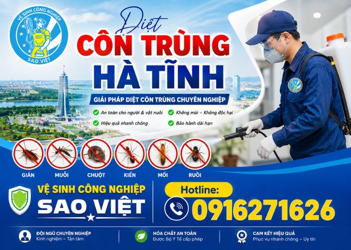 Diệt côn trùng Hà Tĩnh (4)
