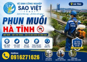 Phun muỗi Hà Tĩnh (2)